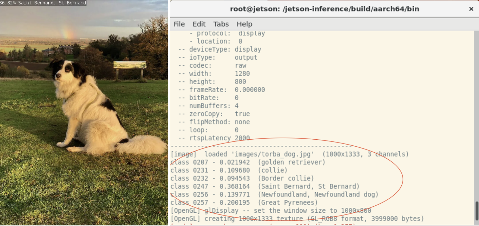 Jetson Nano – Object Detection and Image Classification