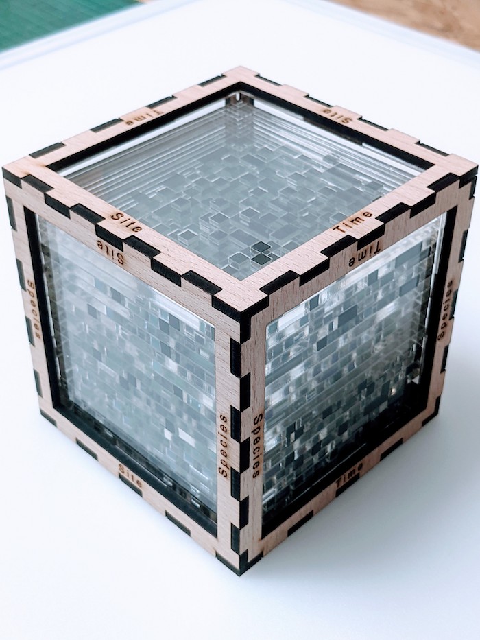 Building a Physical Data Cube